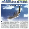 FOLLI CERCASI